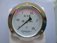 轴向带边压力表Y-100ZT