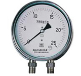 CYW-150B不锈钢差压表