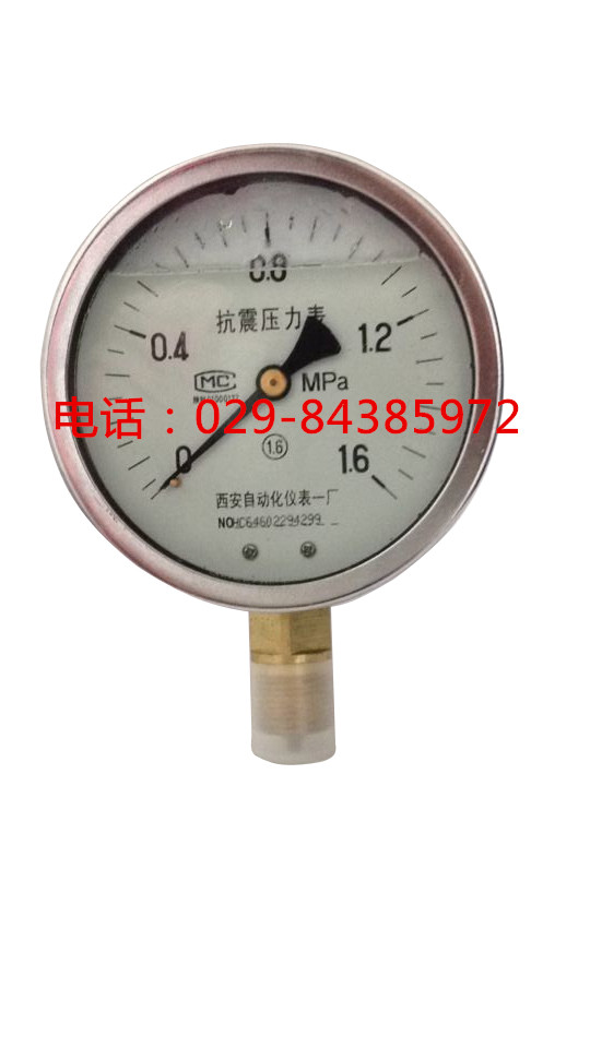 YTN-150耐震压力表