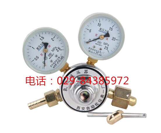 西安仪表一厂 YQY-06氧气减压器
