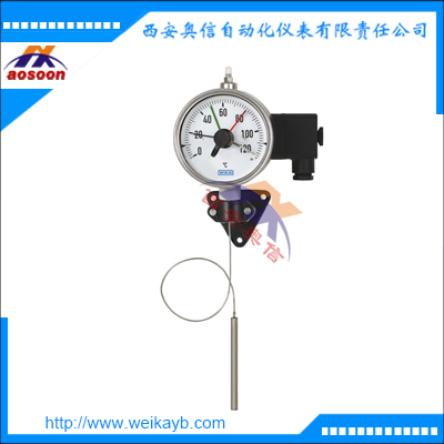 H70带微动开关 和毛细管的膨胀式温度计wika温度开关
