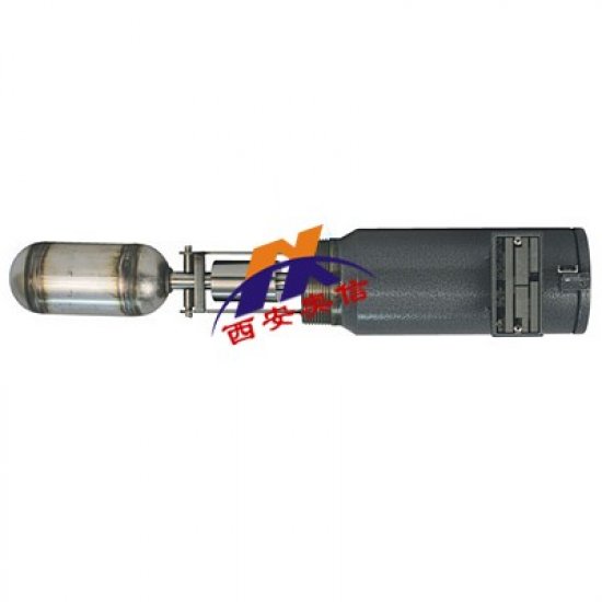 1710A-G2A-C-A1-H1-ZZ SOR液位控制器